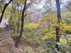 -北京上方山国家森林公园