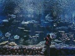 -华夏文旅海洋公园