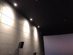 -CGV影城(万象城激光IMAX店)