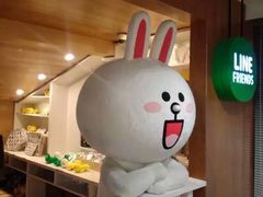 -line friends(明洞旗舰店)