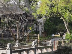 -上海醉白池公园