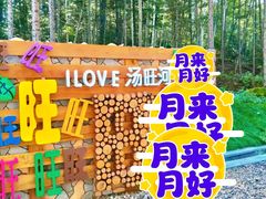 -汤旺河林海奇石景区
