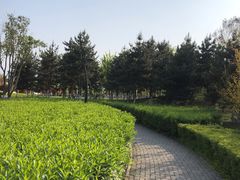 -洨河生态公园