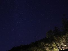 -武陵山森林公园