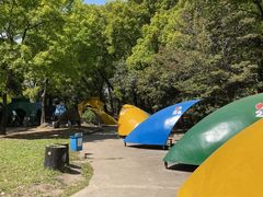 -上海共青森林公园