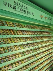 -青稚护手霜QINGZHI