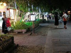 -狐狸家·酸奶酪专门店(平江路店)