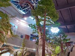 -湖南省地质博物馆