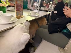 -听香·678茶铺(猛追湾店)