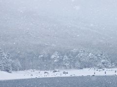 -浙西天池景区
