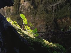 -英西峰林·洞天仙境