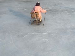-北京鹿世界主题园