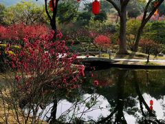 -桃花涧