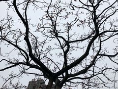 -佛山顺德香云纱园林酒店(清晖园店)