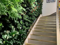 -Peet's Coffee皮爷咖啡(大学路店)