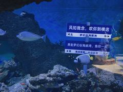 -横店影视城梦幻谷园区