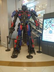 -Early Rider 儿童自行车(蓝色港湾店)