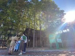 -青岛银河学校