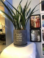 -日寸形象护肤养生