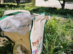 -星巴克(北京西大望路温特莱店)