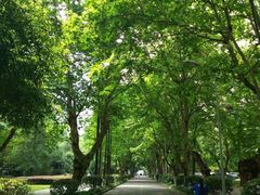 -四川大学(华西校区)