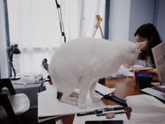 -青沐画室·专业美术培训