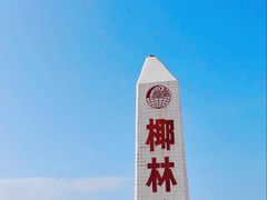 -东郊椰林