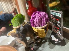 -慢丽江·庭院云南火锅(付家庄店)