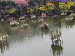 -南通洲际绿博园