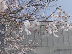 -龙美术馆(西岸馆)