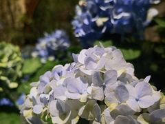 -花二家·生活馆(六运小区店)