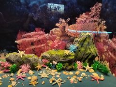 -上海中国航海博物馆