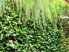 -HOME餐厅粤菜 融合菜