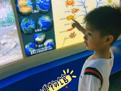 -上海昆虫博物馆