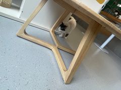 -Cappucimeow猫咪咖啡馆(韦伯时代店)