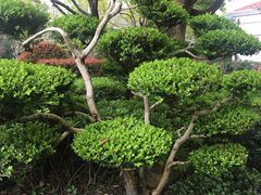 -张江润和国际总部园