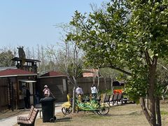 -上海长兴岛郊野公园