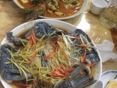 -煲来饱去冷水鱼