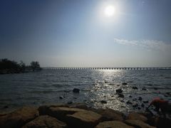 -宝安西湾红树林湿地公园