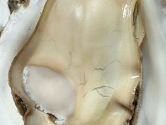 -宾朋海鲜特色美食餐厅·纯手工鲅鱼水饺(兴海路店)