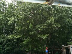 -上海市黄浦区香山中医医院