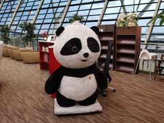 -浦东机场国航头等贵宾室