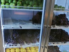 -雾与山茶(大禹城店)