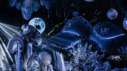 -深圳益田威斯汀酒店·宴会厅