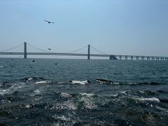 -星海广场