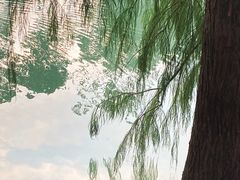 -光明小镇欢乐田园