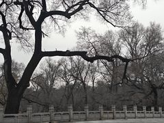 -北陵公园