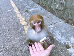 景点-黔灵山公园