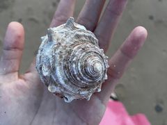 -湄洲岛