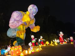 -重庆海昌加勒比海水世界
